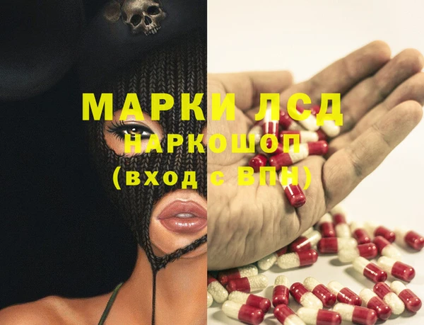 стаф Баксан